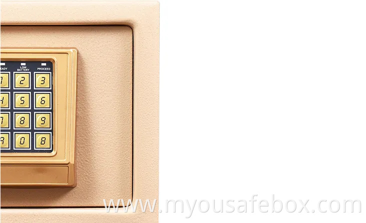 Top-Rated Small Fireproof House Safes Box with Key for Home